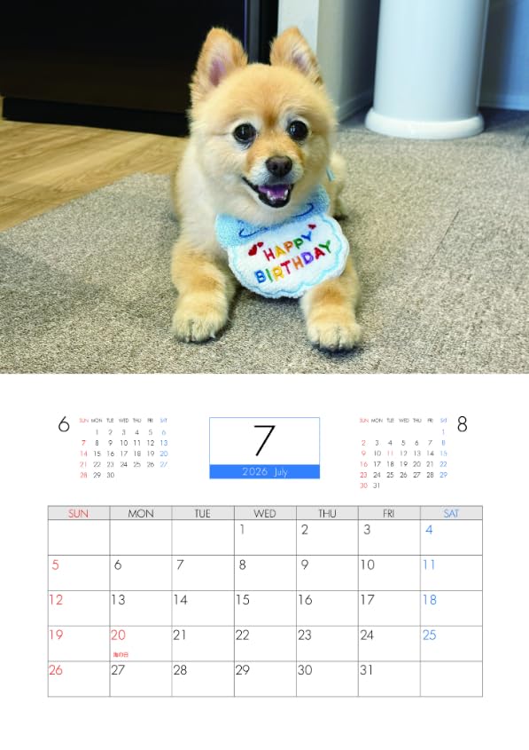 Amazon | 【予約販売】 ポメラニアンのポメくん 犬 2026年 壁掛け
