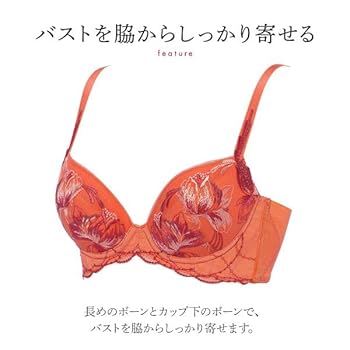 ✴︎D75L レッドレーベル バイ トリンプ 寄せアゲハ ブラ＆ショーツ D75L レッドレーベル バイ トリンプ0113 寄せアゲハ ブラ