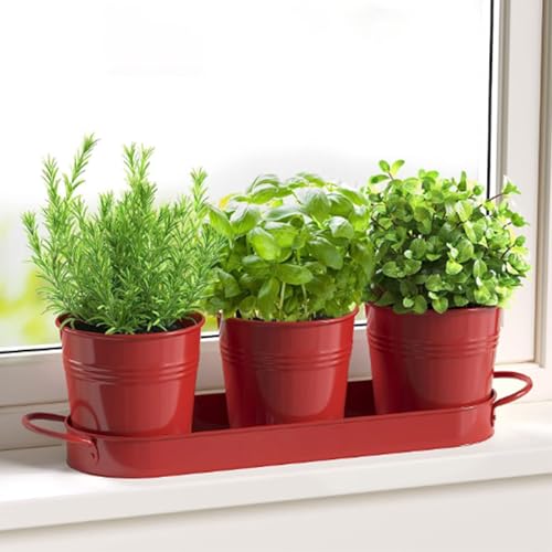 FGXY Pflanztöpfe Für Kräuter, Atmungsaktiver Kräutertopf,...