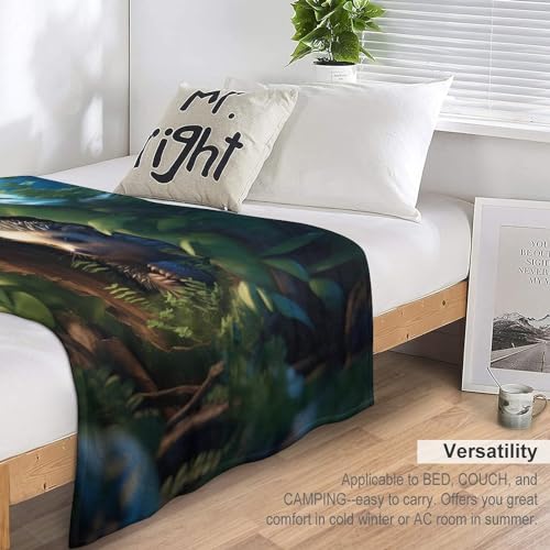 Couverture en hérisson moelleuse contre le froid nocturne, plaid flanelle lit