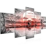 HIGH COLOR BRILLIANT: ottiche nobili con colori resistenti alla luce e vivaci. Abbellisce ogni stanza