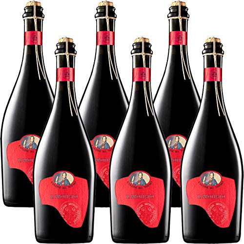Aglianico del Vulture Frizzante | Cantine del Notaio | Il Protesto | Vino Rosso della Basilicata | 6 Bottiglie 75Cl | Tappo in Sughero legato a Spago | Idea Regalo