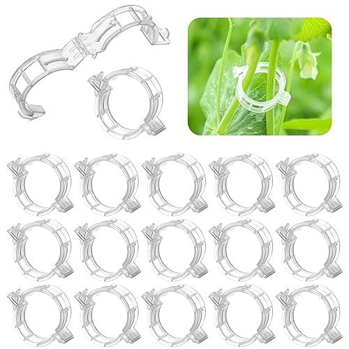 RZMZBY 100 Pieces Vine en Plastique Clips De Retenue, Clips Tomate pour Plantes,pour légumes, tomates, et Plants de vignes