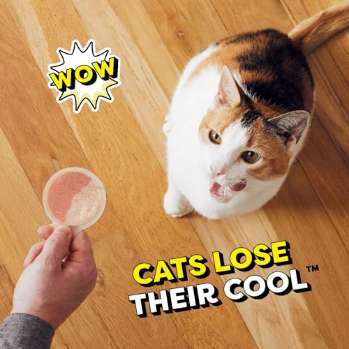 Temptations Lickable Spoons, Soft Lickable Cat Treats, Adult Wet Cat Treats, Variety Pack, 24 Spoons (Pack of 2) - image 7