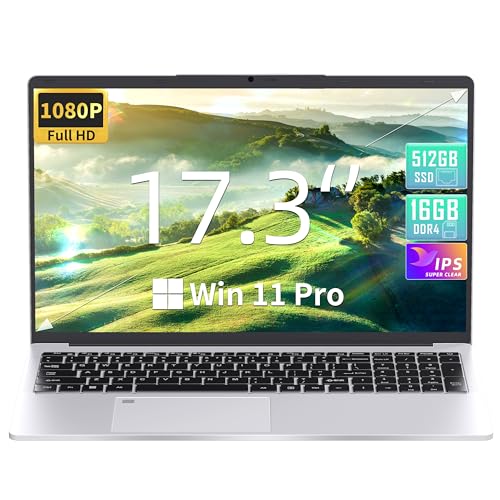 Fsjun 17.3" Laptop, Celeron N5095 (bis zu 2,9 GHz) CPU, 16GB RAM 512GB SSD, 1080P IPS FHD Display, Win 11 Pro/Office 2019, Fingerprint Reader, Backlit KB, Mini-HDMI, WiFi, 3xUSB 3.0, Silber(16G+512GB)