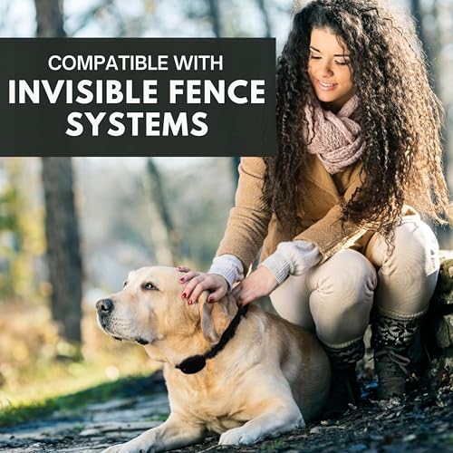 Ersatzband für E-Halsbänder - Kompatibel mit PetSafe Unsichtbarer Zaun, In Boden Zaunsystemen - Kleine Größe, Patriot Design