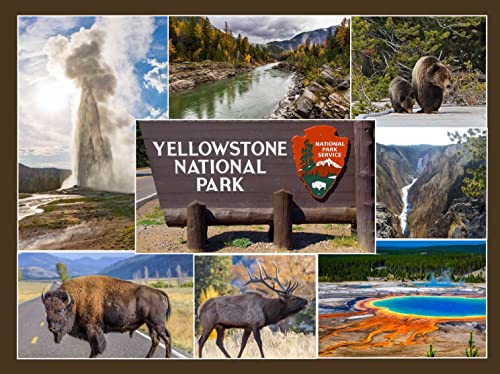 YELLOWSTONE NATIONAL PARK PHOTO FRIDGE MAGNET LARGE 4.5 X 3.5 inches