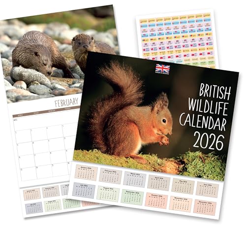 2026 Calendar - Calendar 2026 UK British Wildlife. One Month to View. A3 when open. Wall Calendar by Absolutely Yours.