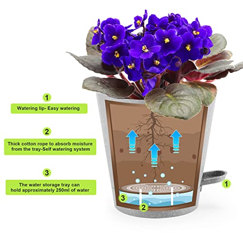 Ten-stone-Plant-Pots-5Pcs-65-Self-Watering-Planters-African-Violet-Pots-with-Attached-Tray-Reservoir-and-Watering-Lip-for-Most-Indoor-Outdoor-Plants-and-Flowers-Grey-65inch Ten-stone-Plant-Pots-5Pcs-65-Self-Watering-Planters-African-Violet-Pots-with-Attached-Tray-Reservoir-and-Watering-Lip-for-Most-Indoor-Outdoor-Plants-and-Flowers-Grey-65inch