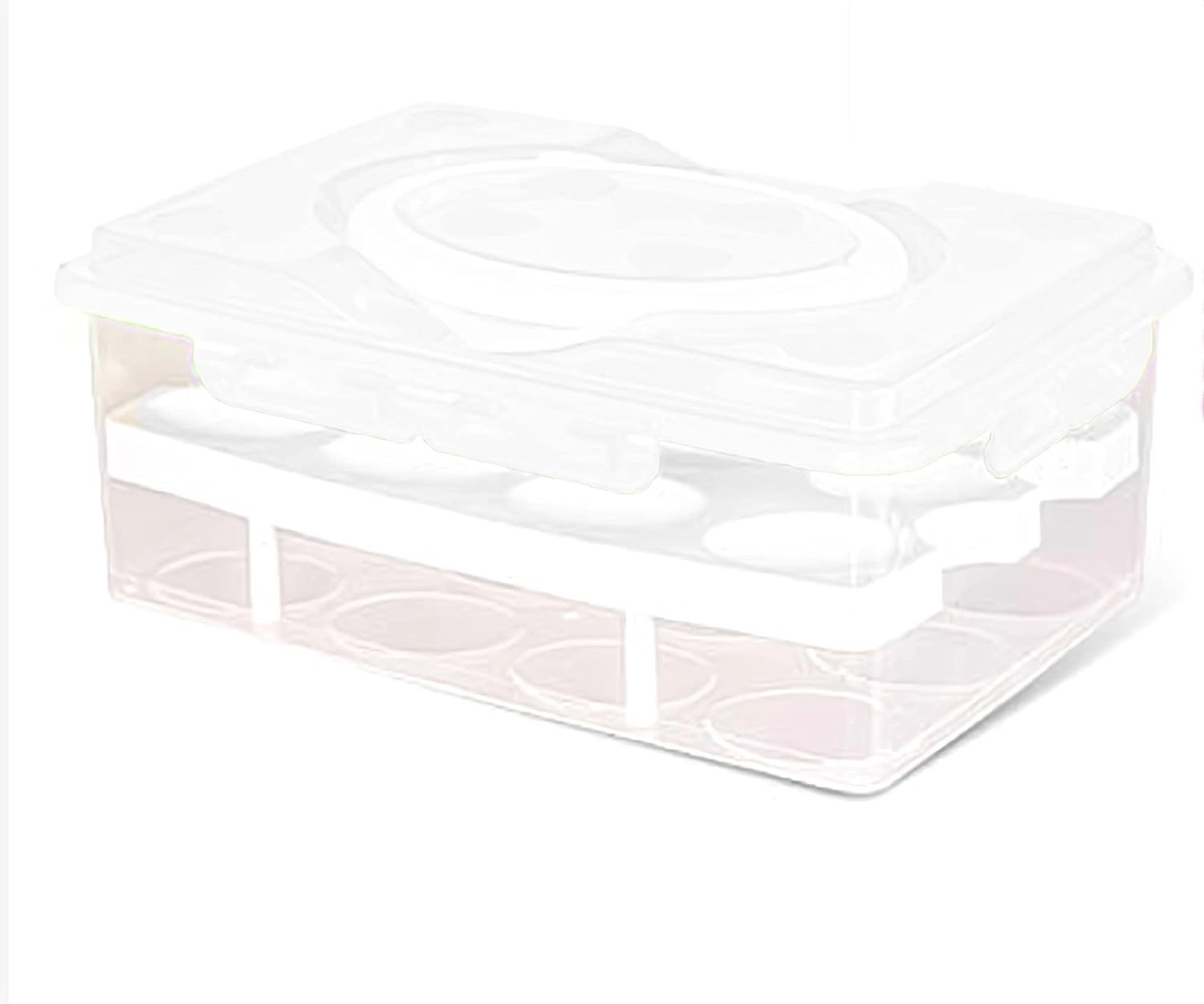 2 Tier Plastic Egg Container Holder,Clear Deviled Egg Tray with Lid Egg Carrier Box