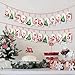 OurWarm Christmas Advent Calendar 2023 Decorations, 24 days Dimity Burlap Gift Bags Favors for Christms Toys Home Decor (6.3