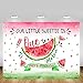 MEHOFOTO Watermelon Themed Girl First Birthday Photo Studio Background Pink Princess 1st One in a Melon Birthday Summer Fruit Party Decorations Banner Photography Backdrops for Dessert Table 7x5ft