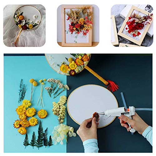 3 Packs Real Natural Dried Flowers for Making Mobile Phone Case Candle Handmade Crafts Epoxy Resin Pendant Necklace Jewelry DIY Accessories,Mixed Multi-Color Dried Flowers(Random Shipping 3 Packs)