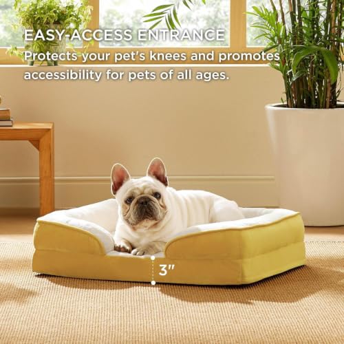 Image of Cutepups Orthopedic Dog Bed Comfortable Dog Mattress for Sleeping, Washable pet Bed for Dogs (Yellow /Cream, M)