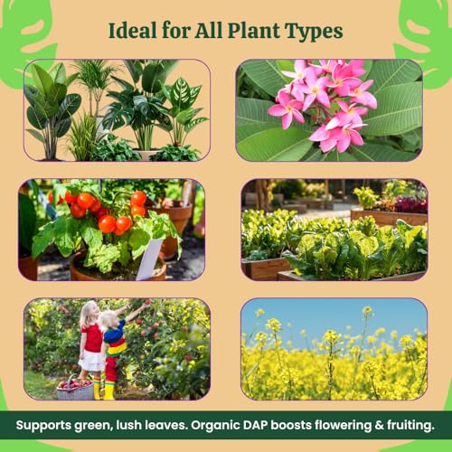 Image of Utkarsh Organic DAP Fertilizer for Plants, Home & Garden - 5 Kg Granules, 100% Water Soluble, Bio DAP Fertilizers & Manure for Plants Growth | Improves Flowering, Fruiting & Vegetables; Pack of 1
