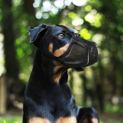 VICASKY Netzmaulkorb für Hunde Verstellbarer Beisschutz aus Meshgewebe Atmungsaktiv und Komfortabel zum Schutz vor Kauen und Beißen Wiederverwendbar und Einfach zu Reinigen