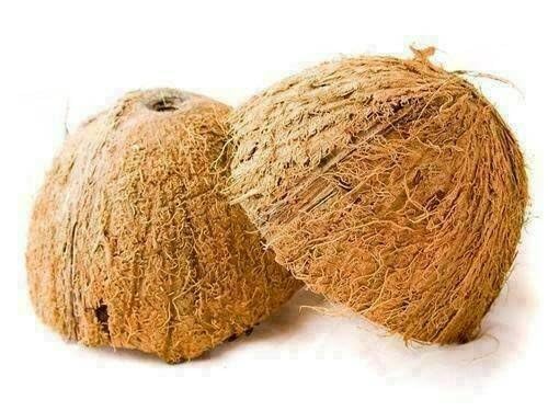 Natural Coconut Shell Bowls with Fiber – Eco-Friendly Halves for Crafts, Pet Feeders, Candle Making & Decorations, Set of 2