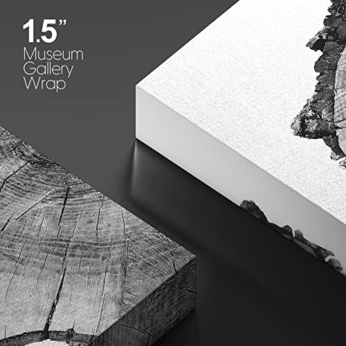 Signwin Canvas Wall Art Black And White Trees Ring Detail Print Nature Wilderness Mixed Media Farmhouse/Country Closeup Relax/Calm Duotone For Living Room - 16" X 24" X 2 Panels #TOP3