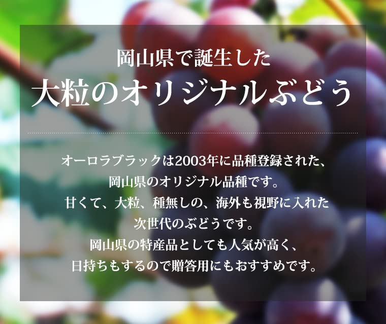 Amazon.co.jp: ぶどう オーロラブラック 種なし 秀品 約2kg 4～5房 JA