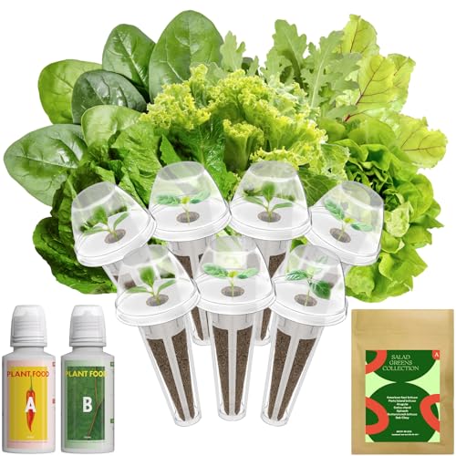 Inbloom 7-Pods Salad Greens Seed Pod Kit for AeroGarden Ahopegarden Gardencube Hydroponic Garden with Spinach Buttercrunch Paris & American Lettuce Swiss Chard Arugula Bok Choy - 350 Seeds
