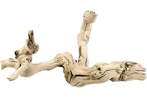 Koyal Natural Manzanita Branch: Enhance Your Vivarium with Nature's Beauty