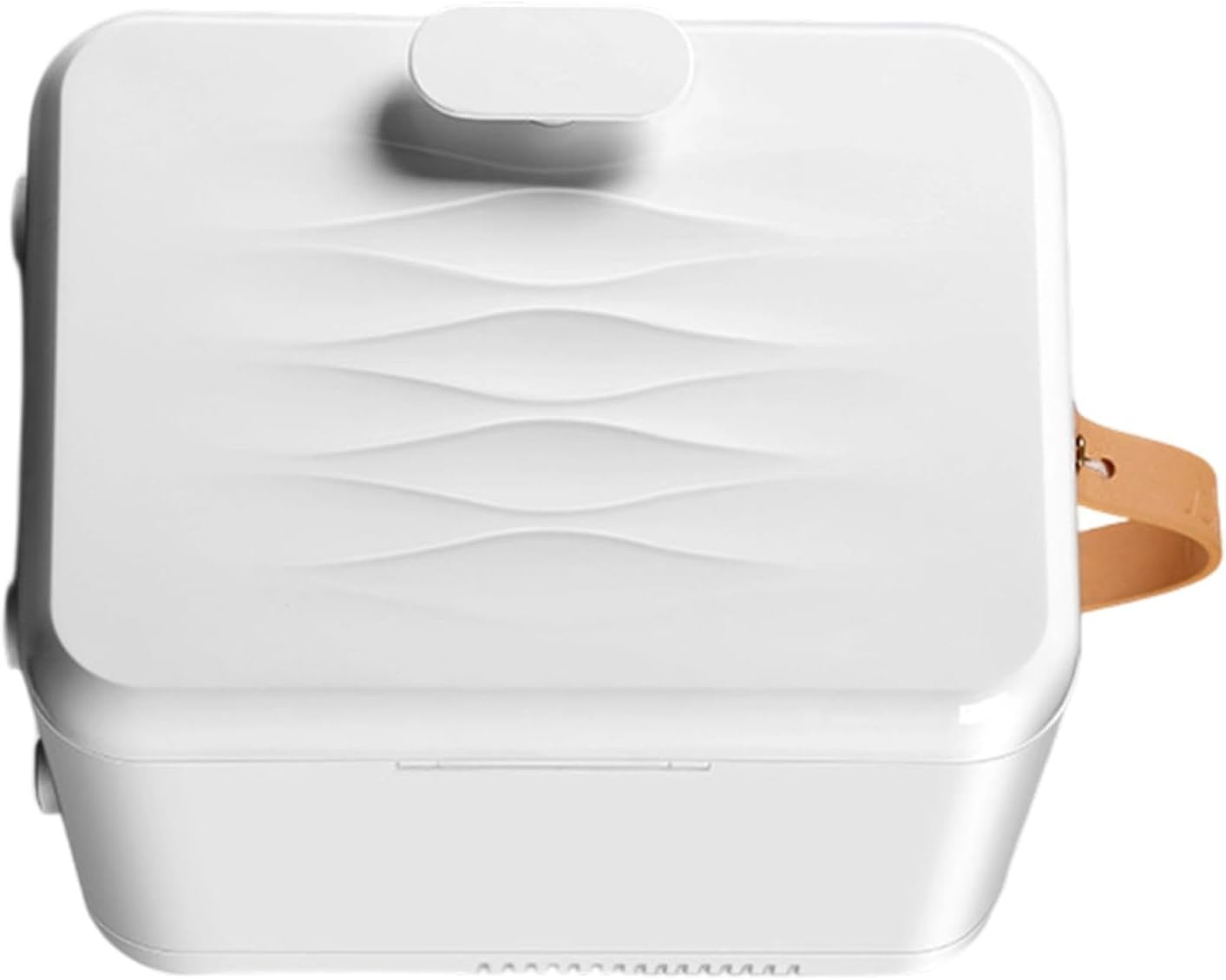 Small Refrigerator With Handle 6L Coolers And Warmer Fridges For SkinCare Cosmetics Food And Drinks Portable Fridge Dorm Refrigerator With Adjustable Shelves