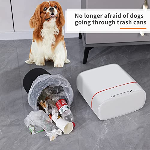 https://m.media-amazon.com/images/I/51jeEWALAML._SL500_.jpg
