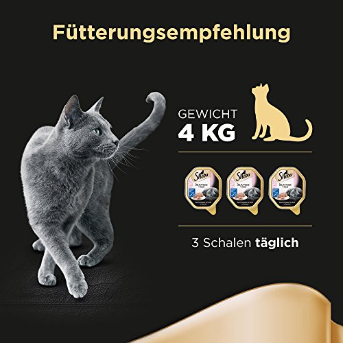 SHEBA Schale Nassfutter für Katzen Delikatesse in Gelee mit Lachs 2 x 11 x 85g (Packung mit 2) – Ansicht 5