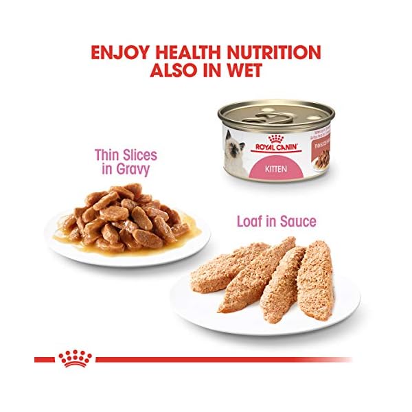 ROYAL CANIN Feline Health Nutrition Kitten Dry cat Food, 15-Pound by Royal Canin – Bild 8