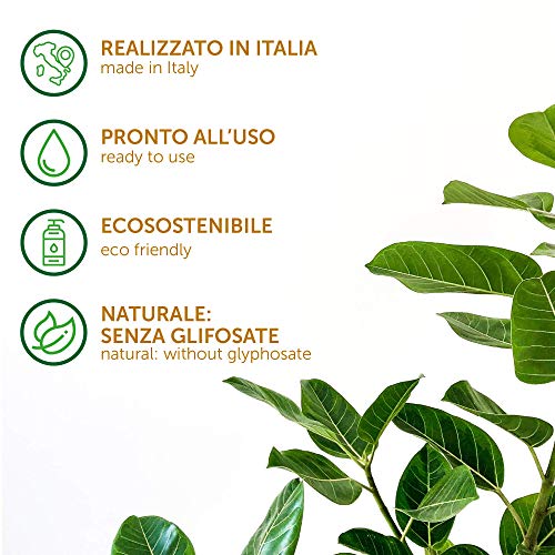 Turfmaster Urban Weed - Trockenspray, 1L Eco-Sustainable zur natürlichen Entfernung von Unkraut und unerwünschter Vegetation von Rasenflächen, Gärten, Gemüsegärten, Feldern, Büschen etc.