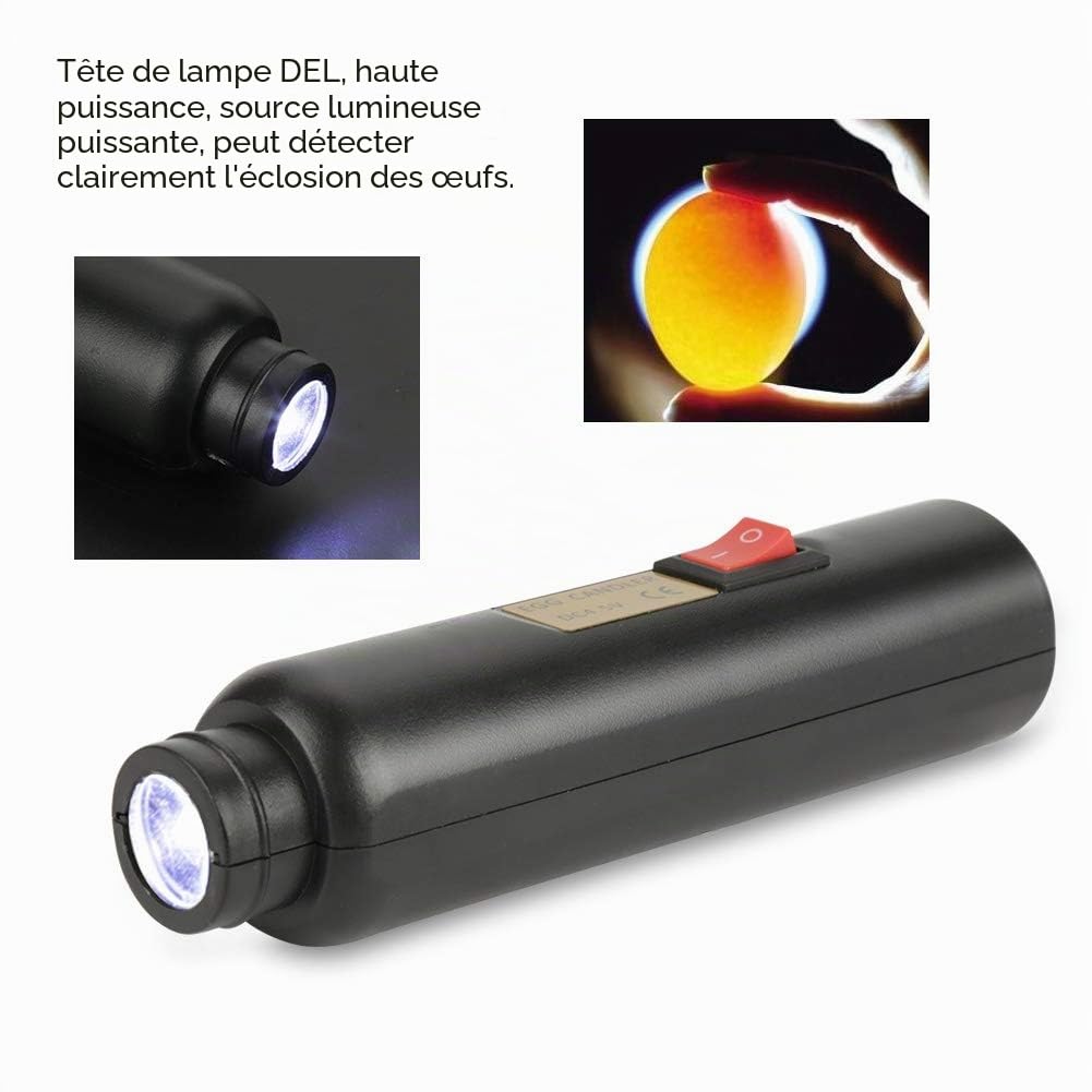 Mire oeuf LED pour incubateur, test fertilité, indicateur ponte, fiche EU, haute précision