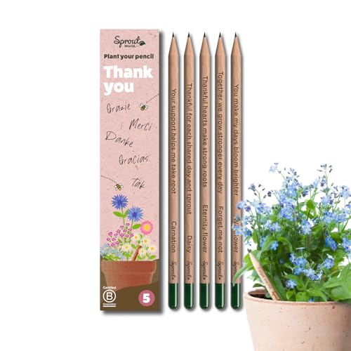 Sprout World Lápices | Thank You Edition | Lápices plantables con semillas de flores | Regalo sostenible para dar las gracias | Pack de 5 | Madera ecológica