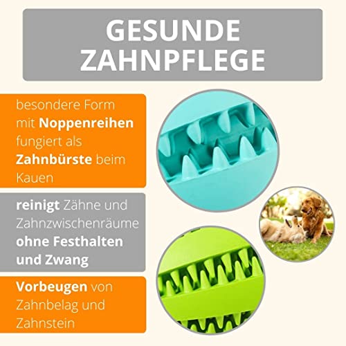 AMATHINGS Hundespielzeug Set Doppelpack Snackball und Snackrugby – Futterspielzeug Hund für intelligentes Spielen – Snackball Hund aus 100% Naturkautschuk – Leckerli Spielzeug für Hunde