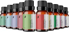 Super Kit 10 Essências Aromatizantes Concentrado Para Aromatizador De Ambientes e Difusor Dermopac