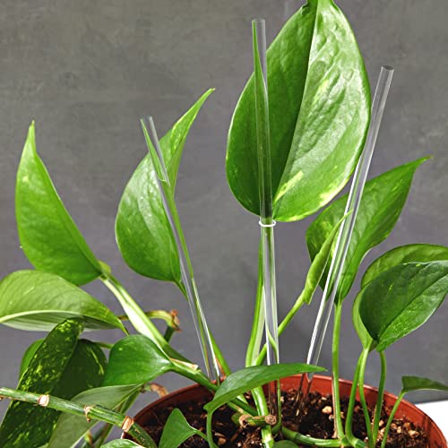 Juvale Clear Plastic Dowels - 6mm Dia Clear Acrylic Rods for DIY Craft Projects & Party Decoration - 12 Pack, 0.25 in x 12 in, Transparent - Image 2