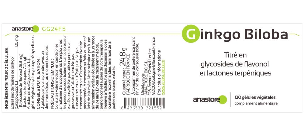 GINKGO BILOBA * PACK 3+1 GRATIS * 60 mg / 480 capsule