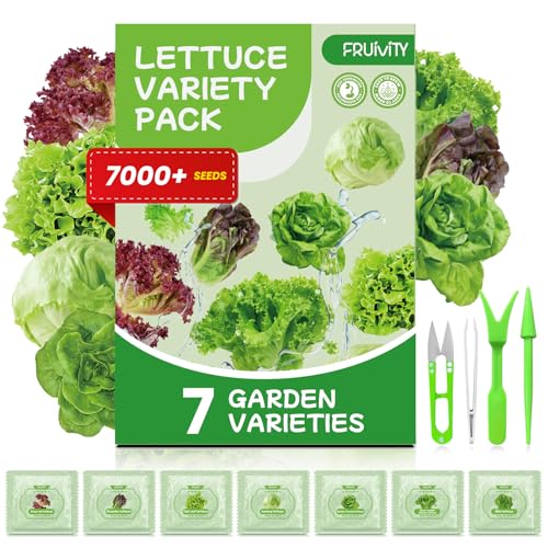 7 Variety Mix Lettuce Seeds - 7000+ Heirloom Lettuce Seeds for Planting Including Romaine Butter Lettuce Iceberg Lettuce etc - Outdoor Hydroponics Gardens Fresh Leafy Green Vegetables Easy to Grow