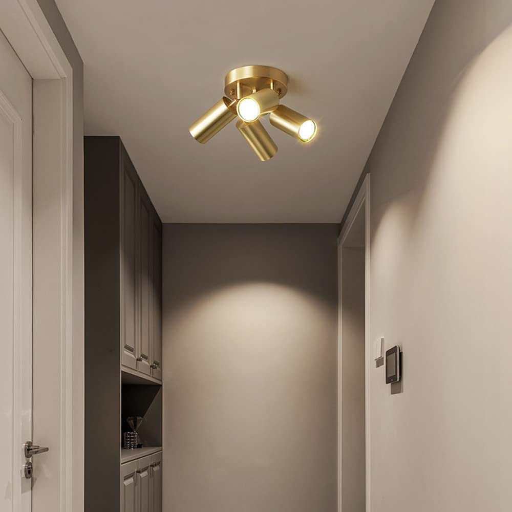 Kit d'éclairage sur Rail Fixe avec Spots encastrés en cuivre pour Plafond, éclairage d'accentuation intérieur réglable en Surface, Spots directionnels à Plaque Ronde rotative,4light