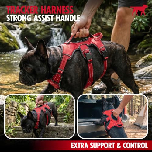 Image of Tuff Pupper Escape Proof No Escape Dog Harness | 5 Point Adjustable Fit Harness for Dogs | Padded Dog Harnesses | Handle Dog Lift Harnesses