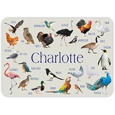 Personalised Kids Placemat with Birds Design Cover