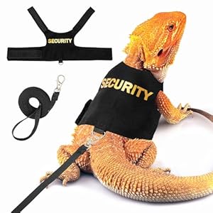 Bearded Dragon Harness and Leash Set – Escape Proof Adjustable Lizard Reptiles Harness with 5 ft Short Leash for Walking Outdoor