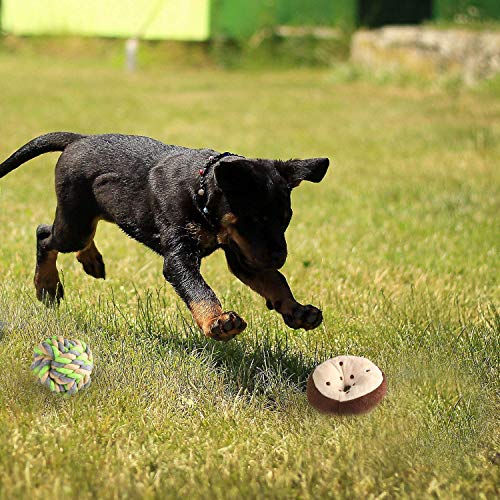 M JJYPET Dog Toys, Dog Chew Teething Toys for Small Medium Breed Chewers, No Stuffing Plush Squeaky Dog Toys,Dog Rope… - Image 7