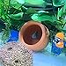 BCSIUHD Fish Tank Decorations - Ceramic Pot Fish Tank cave Aquarium Decorative Accessories for Fighting Fish, Shrimp, Cichlids, etc. to Play, Breed, Hide and Rest