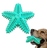 IDOLPET Squeaky Chew Toy - Starfish Water Floating Toy for Dogs, Natural Tooth Brush Teeth Cleaning for Small Medium Dogs - Blue