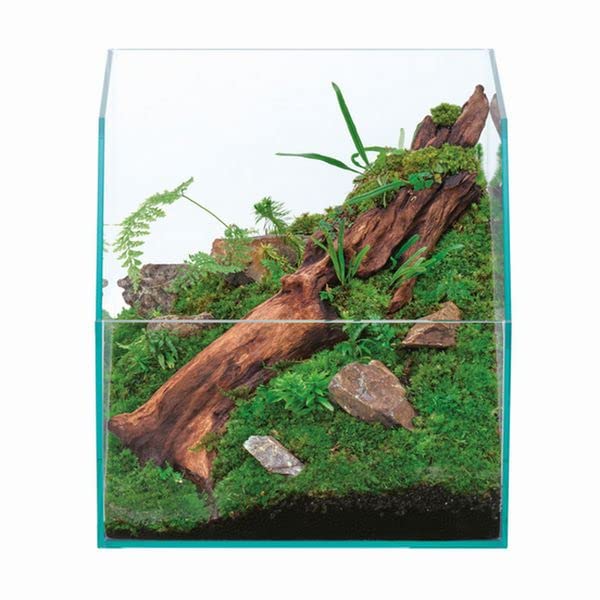 熱帯魚・観賞魚の商品画像