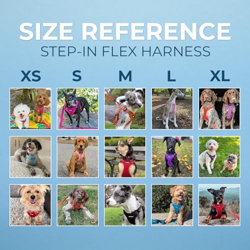 Image of Best Pet Supplies Voyager Adjustable Step-in Flex Breathable Mesh Dog Harness for Small Medium Large Dogs Leash Set (Turquoise), XL