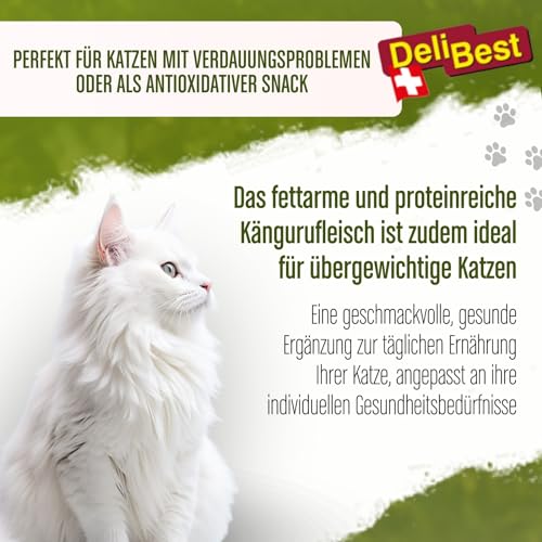 DeliBest Cat Snack aus Känguru mit Kurkuma/Katzen Leckerlies getreidefrei/Katzen Snack verdauungs unterstützend und antioxidativ, fettarmes und proteinreiches Fleisch / 45g