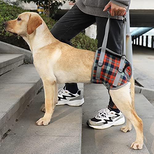 A+a Pets Dog Lift Support Harness for Hip Dysplasia, Mobility Issues, Rear Hind Back Legs | Comfortable to Carry for Exercise Walk Vet | Disable Aging Injured paralysed Arthritis Pets (2XL, Multi) (B0CRB23QNF) Amazon Price History, Amazon Price Tracker