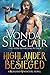 Highlander Besieged (Highland Adventure Book 10)