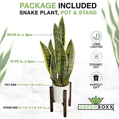 Greenboxx Artificial Snake Plant Pot 27" Portable Faux Potted Air-Purifying Indoor Plant Home Décor | Window And Wedding Décor | Arrangement Garden Ceramic Pot & Stand Included (Green-Yellow) #TOP2